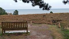 Sylt (173)